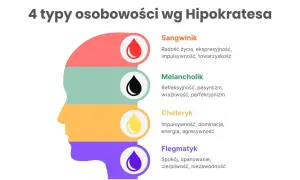 Profil głowy podzielony na 4 kolory, symbolizujące 4 typy osobowości: sangwinik, melancholik, choleryk, flegmatyk.