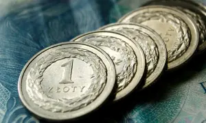 Rząd polskich monet 1 złoty na tle banknotu. Pytanie o umowa zlecenie ile na godzinę netto.