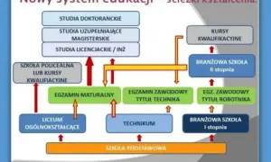 Schemat ścieżek edukacji po szkole podstawowej: liceum, technikum, szkoła branżowa, kursy, studia.
