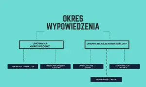 Schemat blokowy przedstawiający okresy wypowiedzenia umów o pracę: próbnych, na czas nieokreślony i określony.