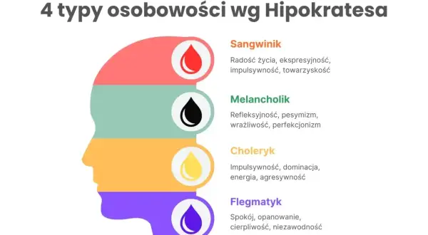 Profil głowy podzielony na 4 kolory, symbolizujące 4 typy osobowości: sangwinik, melancholik, choleryk, flegmatyk.