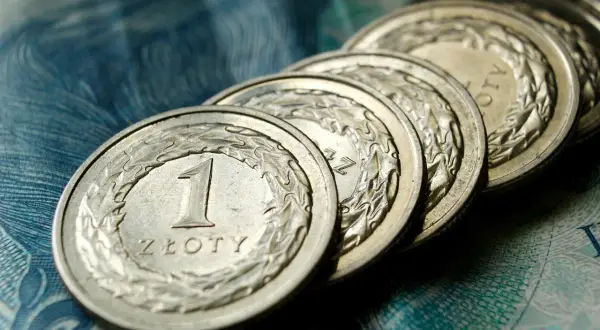 Rząd polskich monet 1 złoty na tle banknotu. Pytanie o umowa zlecenie ile na godzinę netto.