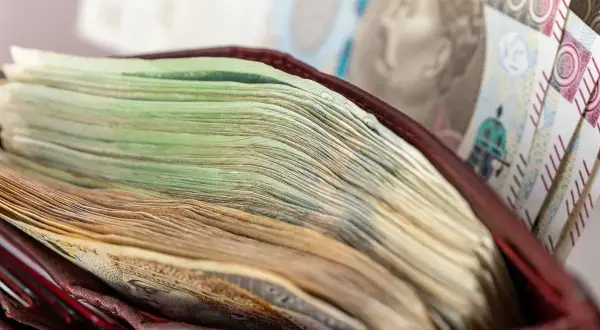 Portfel z grubą warstwą polskich banknotów, w tym banknotem 500 zł.