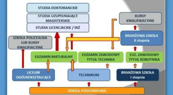 Schemat ścieżek edukacji po szkole podstawowej: liceum, technikum, szkoła branżowa, kursy, studia.