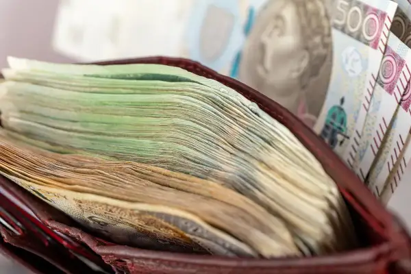 Portfel z grubą warstwą polskich banknotów, w tym banknotem 500 zł.