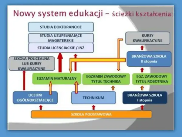 Schemat ścieżek edukacji po szkole podstawowej: liceum, technikum, szkoła branżowa, kursy, studia.